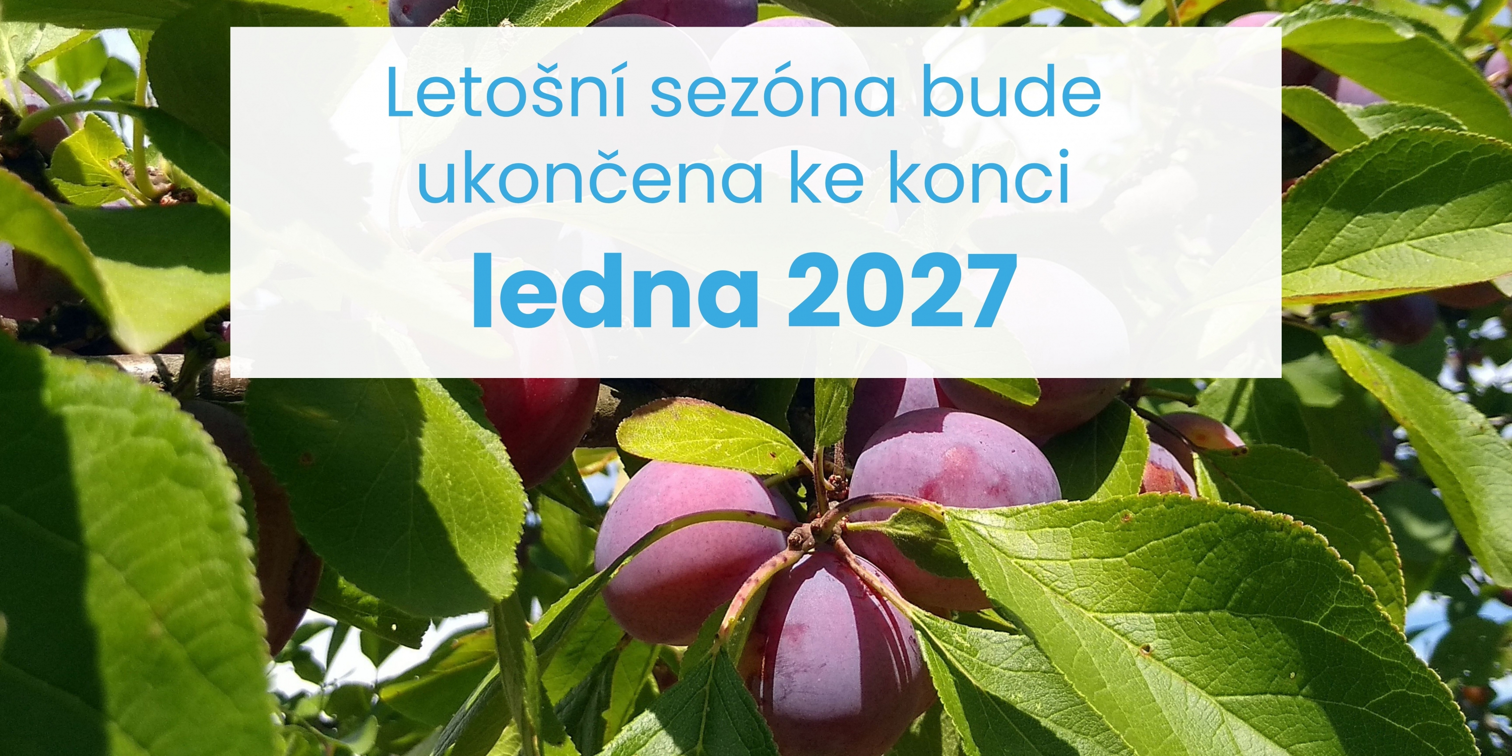 Letošní sezóna bude ukončena ke konci ledna 2027